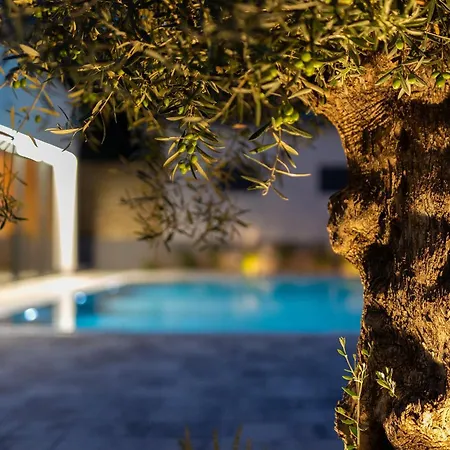 Elegant Chiara With Pool Βίλα *